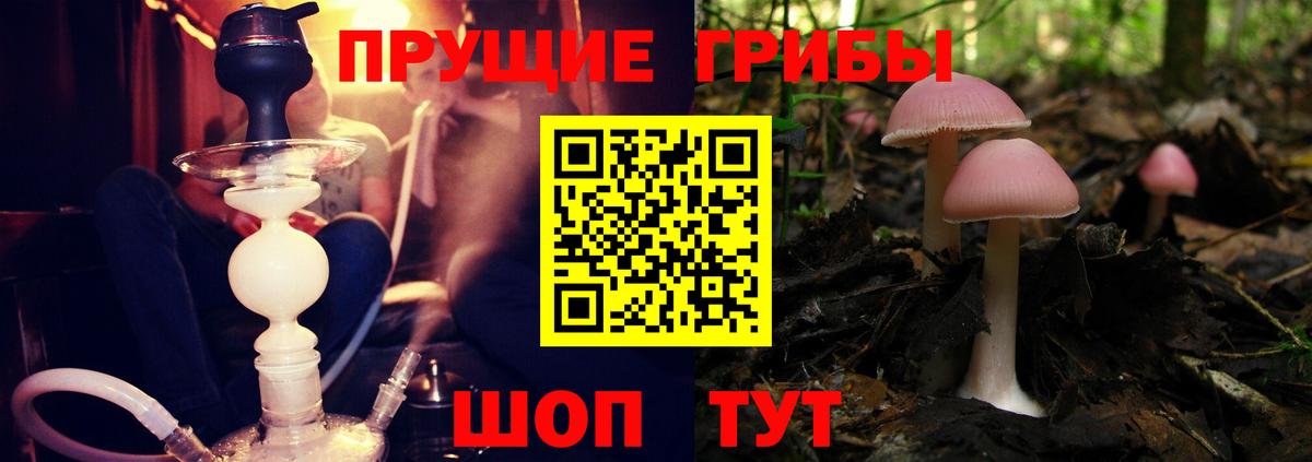 Галлюциногенные грибы Magic Shrooms Россошь